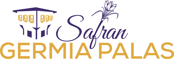 Safran Germia Palas